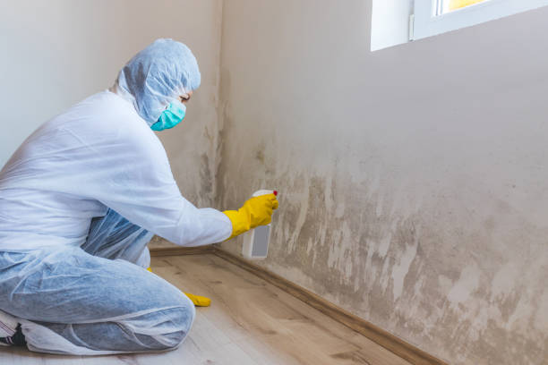 Mold Remediation specialist working in Boston